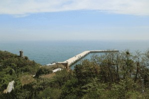 大连疫情新增2人.大连疫情最新动态大连新增3例是哪里的