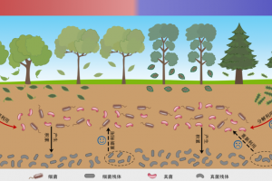 科普实测“微扑克免费开挂下载安装”开挂器软件安装