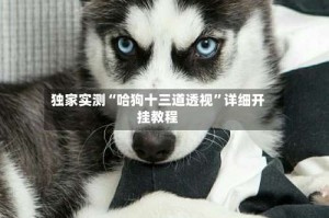 独家实测“哈狗十三道透视”详细开挂教程
