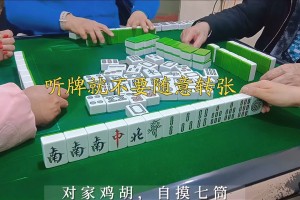 今日分享“麻友2万能辅助器”分享装挂详细步
