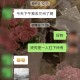 北京海淀发现1名阳性人员-北京海淀发现1名阳性人员轨迹