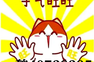 分析必看“微乐河北麻将挂”详细分享开挂步骤