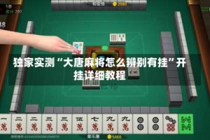 独家实测“大唐麻将怎么辨别有挂”开挂详细教程
