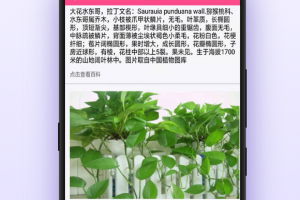 实测教程“小程序决胜麻将必胜神器软件”开挂器软件安装
