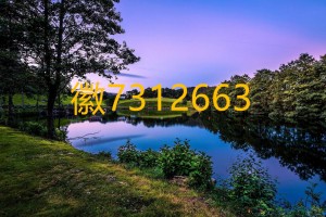 玩家必看教程“微扑克wepoker软件辅助挂(透视)”万能开挂器通用版