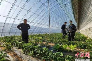 大连庄河疫情最新消息〃大连庄河新闻头条最新消息