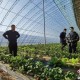 大连庄河疫情最新消息〃大连庄河新闻头条最新消息
