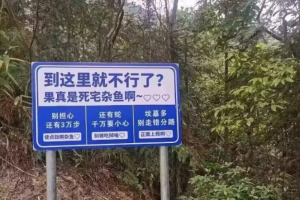 今日盘点“万能透视看牌器游戏特色”分享真的有挂给你