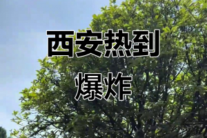 「西安疫情的最新动态」〃西安疫情的最新动态消息
