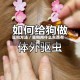 驱狗方法／驱狗用什么东西有效