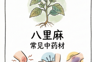 查到实测辅助“网上打麻将可以怎样开挂手机”其实真的确实有挂