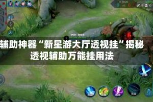 辅助神器“新星游大厅透视挂”揭秘透视辅助万能挂用法