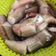 分享实测攻略“水鱼可以开挂吗”分享真的有挂给你