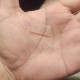 玩家必看教程“开心泉州麻将有人用挂吗”外卦神器下载安装