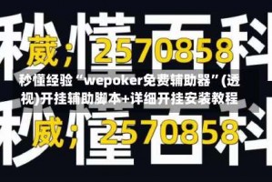 秒懂经验“wepoker免费辅助器”(透视)开挂辅助脚本+详细开挂安装教程