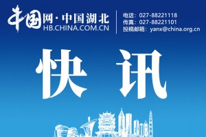 “湖北新增本土确诊病例9例” 湖北新增确诊病例2987例？