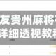 必看教程“聚友贵州麻将有没有开挂”(详细透视教程)