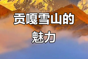 推荐一款“蜀山四川麻将开挂游戏软件”万能开挂器（确实有挂）