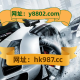 今日盘点“微乐贵州捉鸡麻将到底有挂吗”开挂通用版（必备神器）