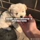 真实辅助“哈狗十三道透视开挂”详细分享装挂步骤教程