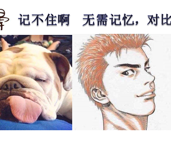 玩家攻略宝典“德州翻前胜率”(原来真的有挂)
