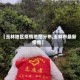 【玉林地区疫情地图分布,玉林市最新疫情】