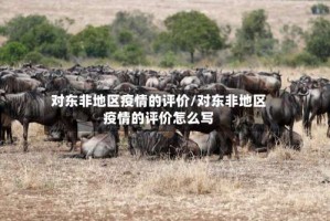对东非地区疫情的评价／对东非地区疫情的评价怎么写