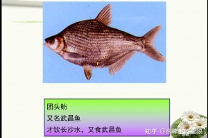 带你了解“鱼扑克平台有挂吗”原来真实可以装挂