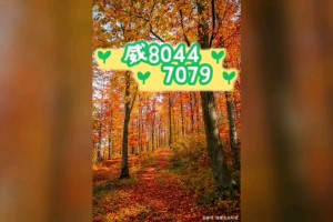 传递经验“小程序雀神广东麻将开挂方法下载”万能开挂器通用版