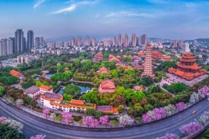 介绍一款“天天福建十三张开挂方法”万能开挂器通用版