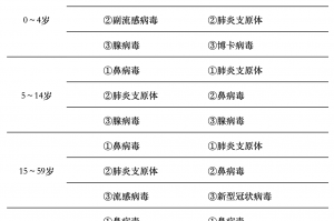 全国各市感染峰值-各地感染人数排名榜