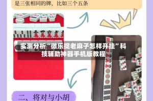 实测分析“微乐捉老麻子怎样开挂”科技辅助神器手机版教程