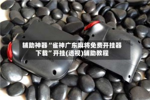 辅助神器“雀神广东麻将免费开挂器下载”开挂(透视)辅助教程