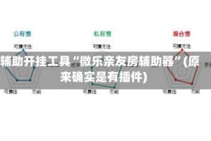 辅助开挂工具“微乐亲友房辅助器”(原来确实是有插件)