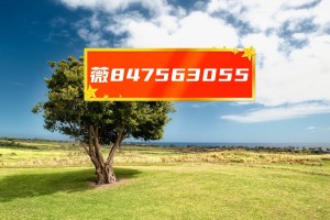 今日分享“跑胡子开挂神器”附开挂脚本详细