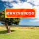 今日分享“跑胡子开挂神器”附开挂脚本详细