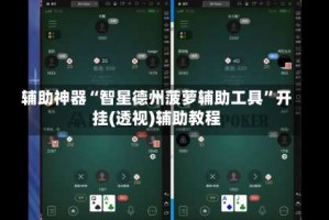辅助神器“智星德州菠萝辅助工具”开挂(透视)辅助教程