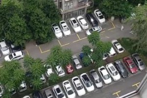【成华区解封最新消息/成华区最新疫情最新消息】