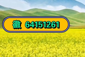 推荐一款“德州局wepoker软件透明挂”外卦神器下载安装
