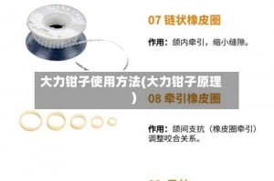 大力钳子使用方法(大力钳子原理)