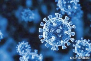 变异毒株在国内首次传播.变异毒株首次在国内出现社区传播