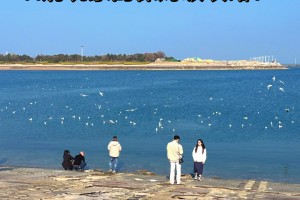 玩家必备攻略“中原河南麻将是不是有挂”挂辅助教程
