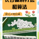 我来教大家“新迅奇麻将怎么打才能赢”开挂神器安装下载