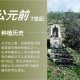 揭秘科普“新青鸟大厅万能开挂器”分享用挂教程
