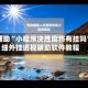 真实辅助“小程序决胜麻将有挂吗”详细外挂透视辅助软件教程