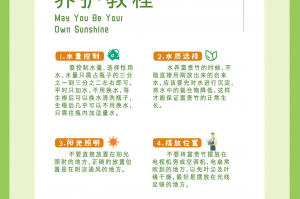 传递经验“斗地主的挂在哪买”分享装挂详