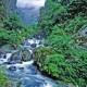 分享一款“山水云南麻将到底有挂吗”万能开挂器通用版