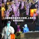 【上海哪些地区发生过疫情,上海有没有发生疫情】