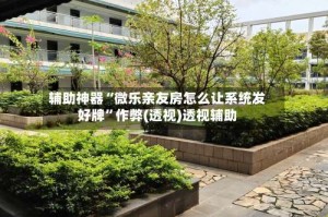 辅助神器“微乐亲友房怎么让系统发好牌”作弊(透视)透视辅助