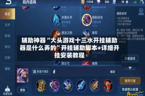 辅助神器“大头游戏十三水开挂辅助器是什么弄的”开挂辅助脚本+详细开挂安装教程